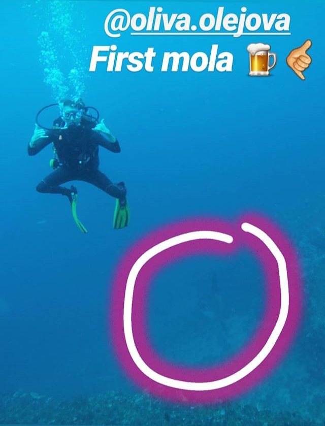 Mola Mola diving