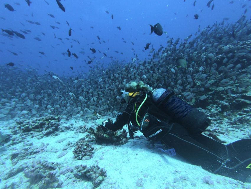 Girl diver in Bali